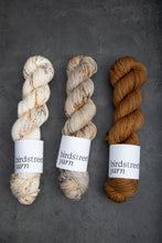 Load image into Gallery viewer, Stella Bella- DK - Hand-dyed yarn