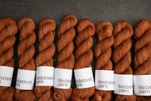 Load image into Gallery viewer, Jasper- 4ply - Hand-dyed yarn