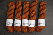 Load image into Gallery viewer, Jasper- 4ply - Hand-dyed yarn