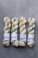 Load image into Gallery viewer, One Little Speckled Frog - 4ply - Hand-dyed yarn