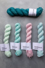 Load image into Gallery viewer, Scuba- 4ply - Hand-dyed yarn