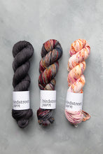 Load image into Gallery viewer, Stonewash- DK - Hand-dyed yarn