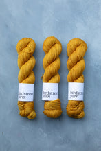 Load image into Gallery viewer, Beeswax DK - Hand-dyed yarn