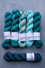 Load image into Gallery viewer, Scuba- 4ply - Hand-dyed yarn
