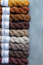 Load image into Gallery viewer, Bean - 4ply - Hand-dyed yarn