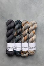 Load image into Gallery viewer, Just Rust - 4ply - Hand-dyed yarn