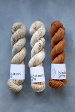 Load image into Gallery viewer, Jasper- 4ply - Hand-dyed yarn