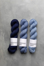 Load image into Gallery viewer, Capri - 4ply - Hand-dyed yarn