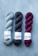 Load image into Gallery viewer, Beaujolais - DK - Hand-dyed yarn