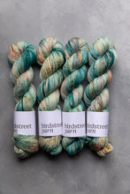 Load image into Gallery viewer, Doyouthinkhesaurus? 4ply hand-dyed yarn