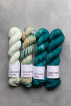 Load image into Gallery viewer, Doyouthinkhesaurus? 4ply hand-dyed yarn