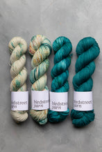 Load image into Gallery viewer, Doyouthinkhesaurus? 4ply hand-dyed yarn