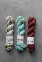 Load image into Gallery viewer, Medici - DK - Hand-dyed yarn
