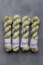 Load image into Gallery viewer, Glass House - 4ply - Hand-dyed yarn