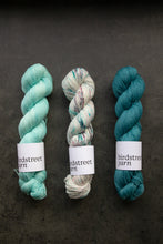 Load image into Gallery viewer, Golightly - 4ply - Hand-dyed yarn
