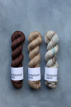 Load image into Gallery viewer, Bean - 4ply - Hand-dyed yarn