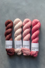 Load image into Gallery viewer, Middleton - 4ply - Hand-dyed yarn