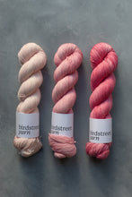 Load image into Gallery viewer, Middleton - 4ply - Hand-dyed yarn