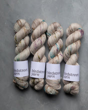 Load image into Gallery viewer, Merlin: DK Hand-dyed yarn