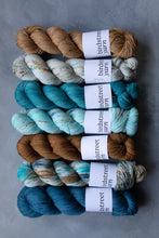 Load image into Gallery viewer, Scuba- 4ply - Hand-dyed yarn