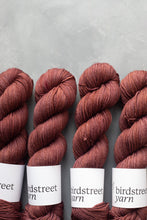 Load image into Gallery viewer, Medici - DK - Hand-dyed yarn