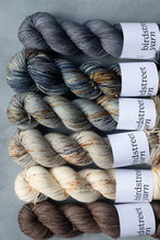 Load image into Gallery viewer, Just Rust- DK - Hand-dyed yarn