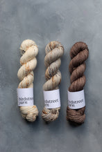 Load image into Gallery viewer, Just Rust- DK - Hand-dyed yarn