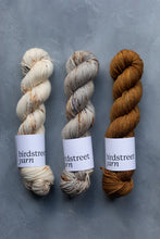 Load image into Gallery viewer, Just Rust- DK - Hand-dyed yarn
