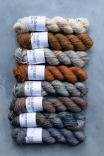 Load image into Gallery viewer, Just Rust- DK - Hand-dyed yarn