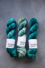 Load image into Gallery viewer, Scuba- 4ply - Hand-dyed yarn