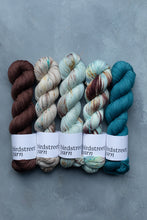 Load image into Gallery viewer, Bean - 4ply - Hand-dyed yarn