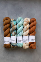 Load image into Gallery viewer, Old No.7- 4ply - Hand-dyed yarn