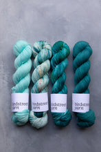 Load image into Gallery viewer, Jewel - 4ply - Hand-dyed yarn