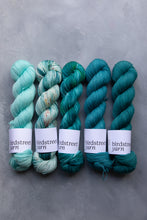 Load image into Gallery viewer, Jewel - 4ply - Hand-dyed yarn