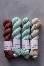 Load image into Gallery viewer, Medici - DK - Hand-dyed yarn