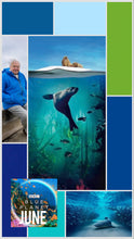 Load image into Gallery viewer, Big Blue
