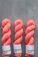 Load image into Gallery viewer, Dude! - 4ply - Hand-dyed yarn
