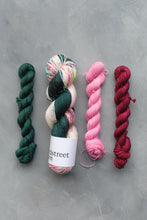 Load image into Gallery viewer, Deep Pine Minis - 4ply - Hand-dyed yarn
