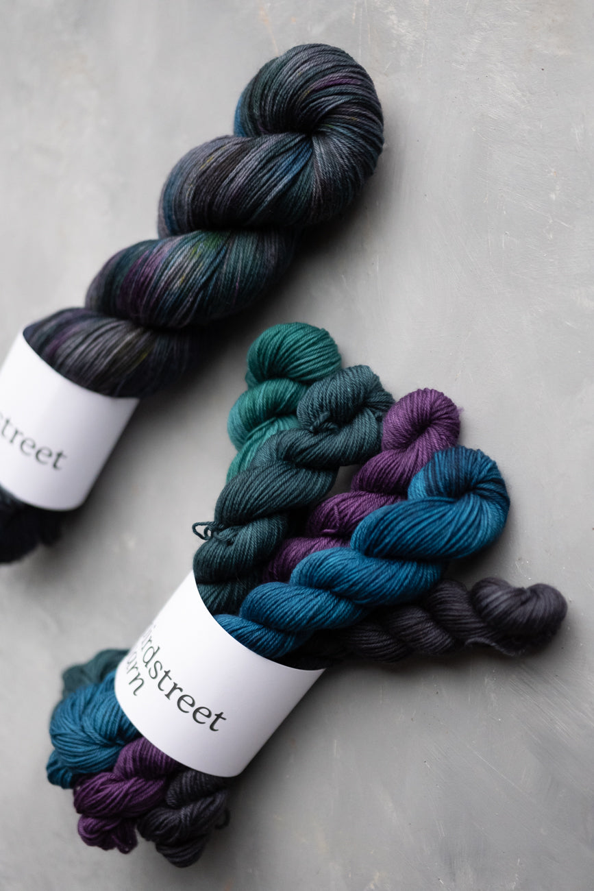 Reimagined Specials 2025 - 4ply - Fabulous Starling! Minis Set 5x20g