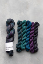 Load image into Gallery viewer, Reimagined Specials 2025 - 4ply - Fabulous Starling! Minis Set 5x20g
