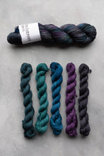 Load image into Gallery viewer, Reimagined Specials 2025 - 4ply - Fabulous Starling! Minis Set 5x20g
