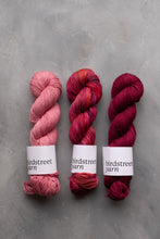 Load image into Gallery viewer, I Like Mine With A Kiss- 4ply- hand dyed yarn
