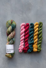 Load image into Gallery viewer, Reimagined Yarn Club - 4ply - December: Rockin&#39; Robin
