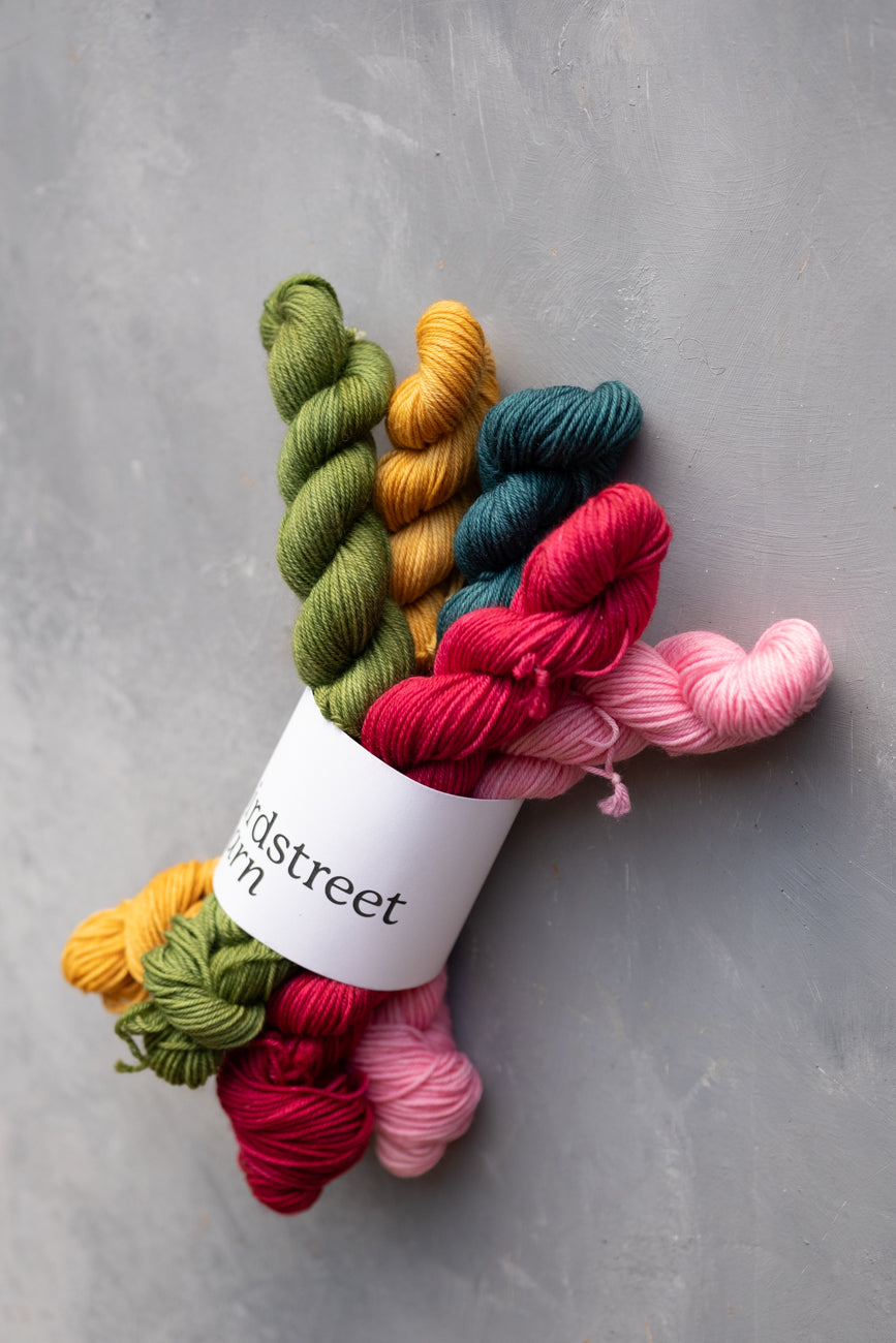 Reimagined Yarn Club - 4ply - December: Rockin' Robin