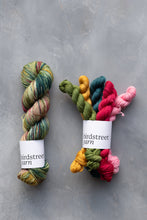 Load image into Gallery viewer, Reimagined Yarn Club - 4ply - December: Rockin&#39; Robin
