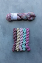 Load image into Gallery viewer, Reimagined Yarn Club - Pirouette 5x20g Minis
