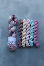 Load image into Gallery viewer, Reimagined Yarn Club - Pirouette 5x20g Minis
