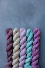 Load image into Gallery viewer, Reimagined Yarn Club - Pirouette 5x20g Minis
