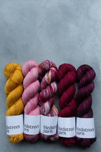 Load image into Gallery viewer, Actually Love - 4ply - Hand-dyed yarn
