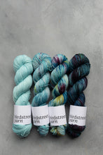 Load image into Gallery viewer, Spa Day - 4ply - Hand-dyed yarn
